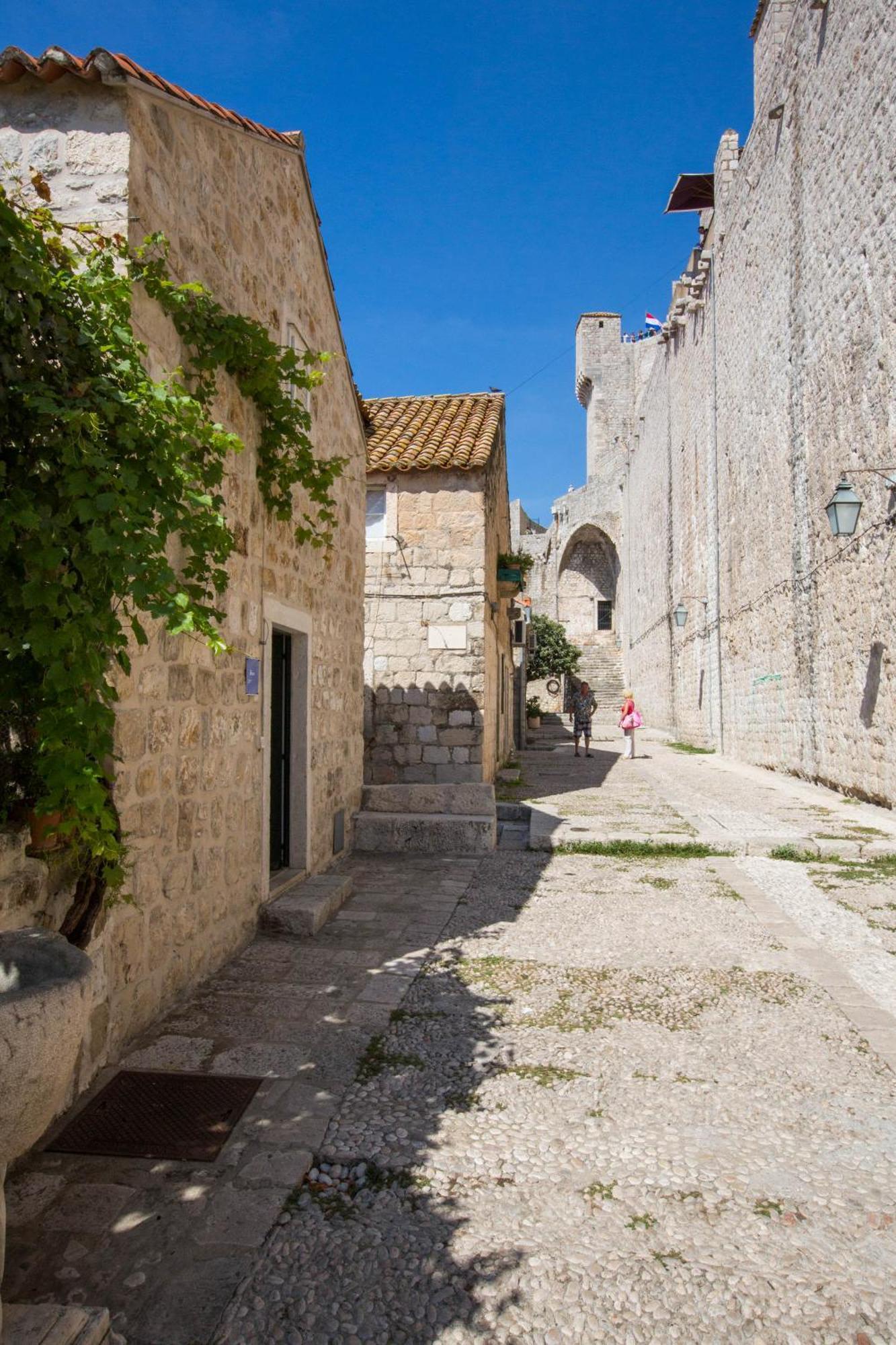 Studio Sunny Garden Dubrovnik Eksteriør bilde